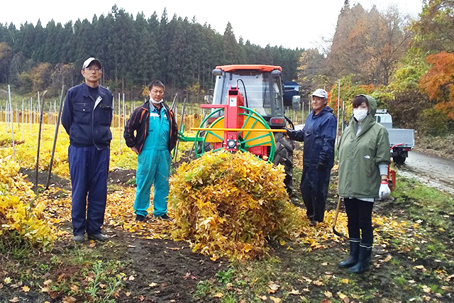 長イモの収穫の様子